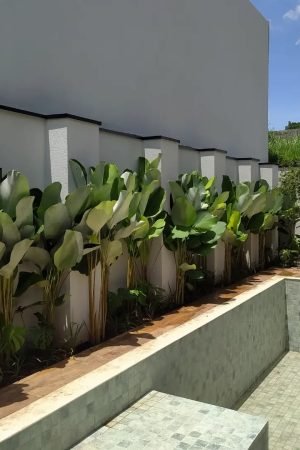 Bom dia🌴Trabalho concluído com sucesso... E o mais importante cliente satisfeito @edinei.apis obrigado pela confiança...#jardinagem #aguasdelindoia #lindoia #morungaba #hortolandia #itirapinas (1)