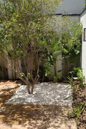 Bom dia🌴Trabalho concluído com sucesso... E o mais importante cliente satisfeito @edinei.apis obrigado pela confiança...#jardinagem #aguasdelindoia #lindoia #morungaba #hortolandia #itirapinasp